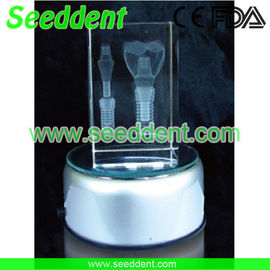China Molar implant model with round stand supplier