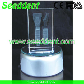 China Incisor implant model with round stand supplier