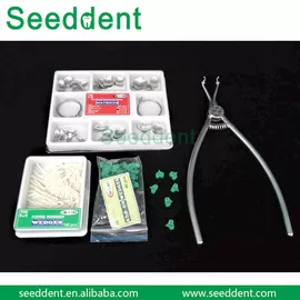 China Dental Matrix Band Kit with Clips / Wooden wedge / Green teeth gap supplier