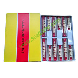 China Synthetic Resin Teeth 3sets/box SE-W016/SE-W017 supplier