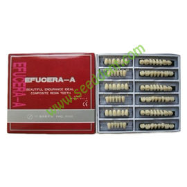 China Composite Resin Teeth 6sets/box SE-W019 supplier