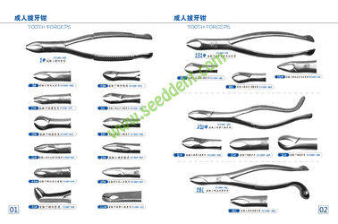 China Tooth Forceps supplier
