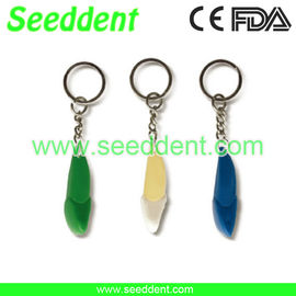 China Middle incisor tooth key chain supplier