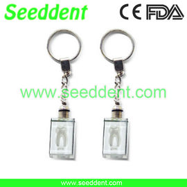 China Transparent tooth key chain supplier