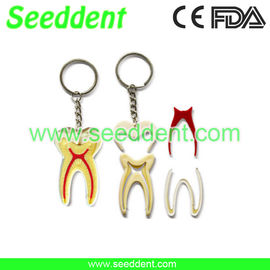 China 4*1 key chain tooth supplier