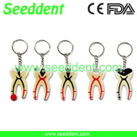 China Plastic tooth key chain supplier