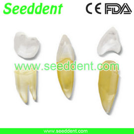 China Deciduous teeth storage box supplier