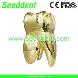 China Gilded gold tooth supplier