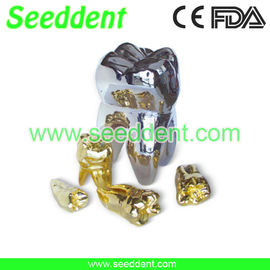 China Gilded silver tooth supplier