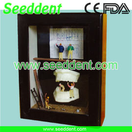 China Shadow box mini set of teeth I supplier