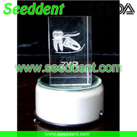 China Transparent impaction tooth model with round stand supplier