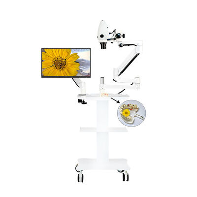 China Dental Video Microscope Cart Type or Dental Unit Type with Monitor Use the Monitor Only supplier
