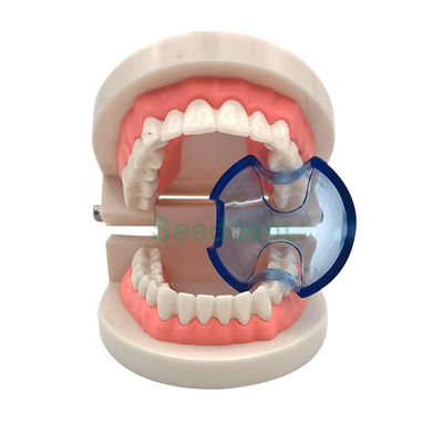 China 2021 New Dental Supply Plastic Disposable Lip Opener Intraoral Orthodontic Cheek Retractor Mouth Opener SE-U027/SE-U028 supplier