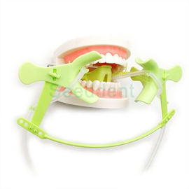 Dental Cheek Retractos / Orthodontic Use Tongue Guard Cheek Retractor with Dry Field System Tubing suction SE-O094