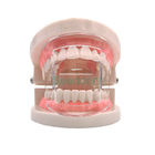 2021 New Dental Supply Plastic Disposable Lip Opener Intraoral Orthodontic Cheek Retractor Mouth Opener SE-U027/SE-U028