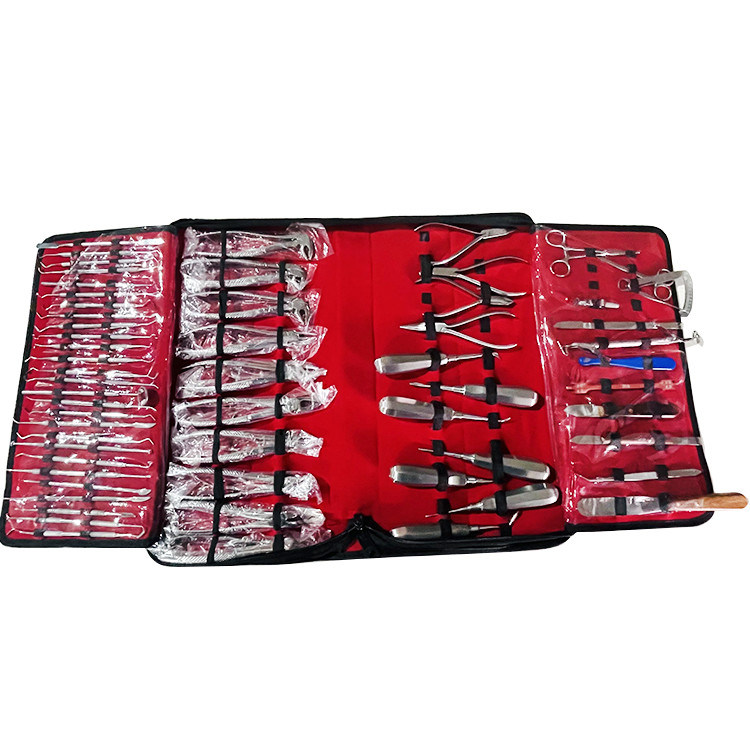 S.S. 18-Piece Basic Oral Dental Surgery Instrument Set Kit (DN-544) - Pakistan