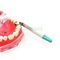 SE-U029B Dental Pro-Matrix Matrix Band Disposable Matrix System supplier