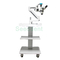 SE-XW011 Portable Dental Surgical Microscope / Dental Microscope with built out camera use Eyepieces or Monitor supplier