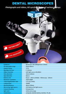 SE-XW011 Portable Dental Surgical Microscope / Dental Microscope with built out camera use Eyepieces or Monitor supplier