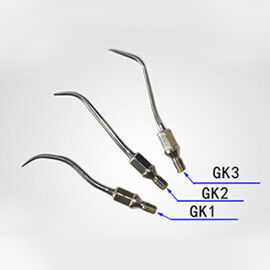 2/4 holes Air scaler with 3 tips (GS1.GS2,GS3) Compatible with Kavo SE-H030 supplier