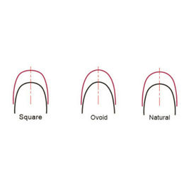 Super Elastic Niti Arch Rectangular Wires SE-O021 supplier