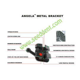 ANGLA Orthodontic Brackets Mini Roth 0.022/HK 345 supplier