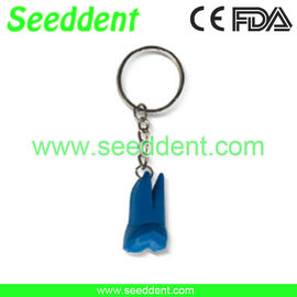 Molar tooth key chain supplier