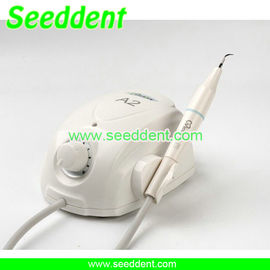 A2 Scaler Dental Ultrasonic Scaler with detachable handpiece supplier