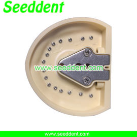 Dental Removable Standard Teeth Model supplier