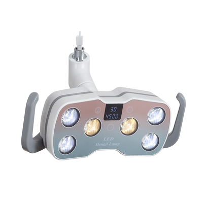 6PCS LED Bulbs Dental Chair Surgery Light with 2 Colors Light Dental Unit Chair LED Lamp supplier
