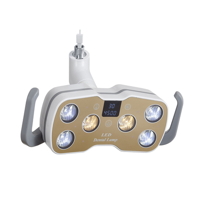6PCS LED Bulbs Dental Chair Surgery Light with 2 Colors Light Dental Unit Chair LED Lamp supplier