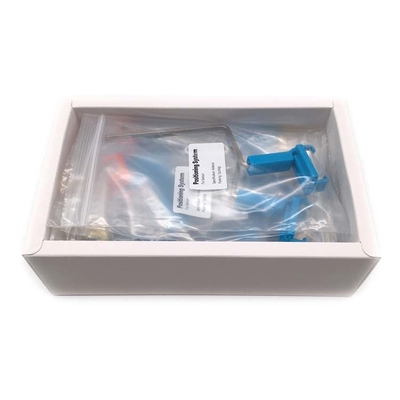Hot selling Colorful Dental Digital X Ray Sensor Holder System With New Bite Wing Functions supplier