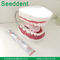 Dental study model with toothbrush supplier