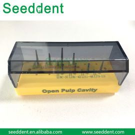 Open pulp cavity Dental Diamond burs Kit supplier