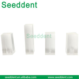 Dental Canal Model supplier