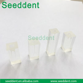 Dental Canal Model supplier