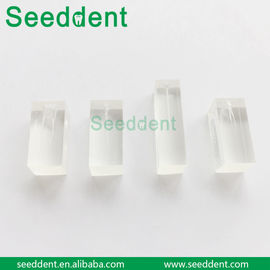 Dental Canal Model supplier