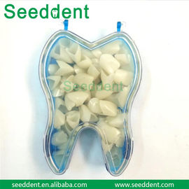 Dental Temporary Crown / Dental Crowns for Anterior and Posterior Teeth supplier