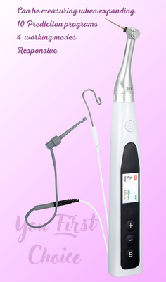 Dental Surgery Equipment 16:1 Endoscopic Motors Wireless/Cordless Endodontic Motors with Built-in Apex Locator supplier