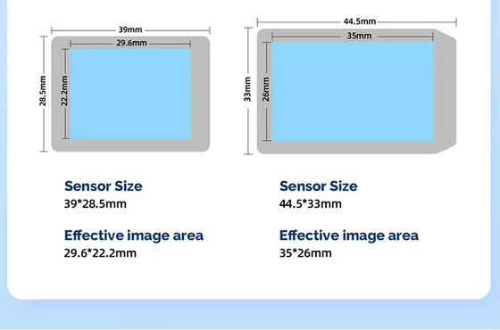 Color Large Screen Gun Type Dental X-ray Unit Instant Camera Including Sensor High Frequency Dental X Ray Machine with Sensor supplier