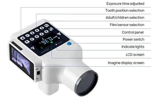 Color Large Screen Gun Type Dental X-ray Unit Instant Camera Including Sensor High Frequency Dental X Ray Machine with Sensor supplier
