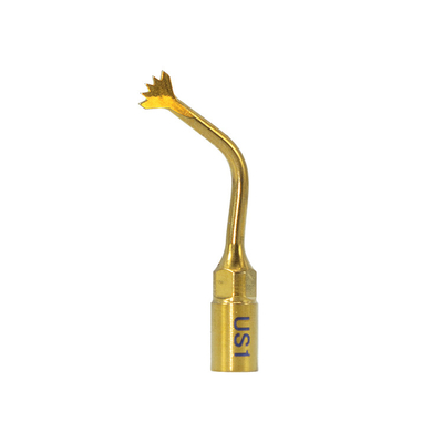 Dental Piezosurgery Implant Motor Dental Surgery Device Implant Dentistry 2-in-1 Bone Surgery and Implant Machine supplier