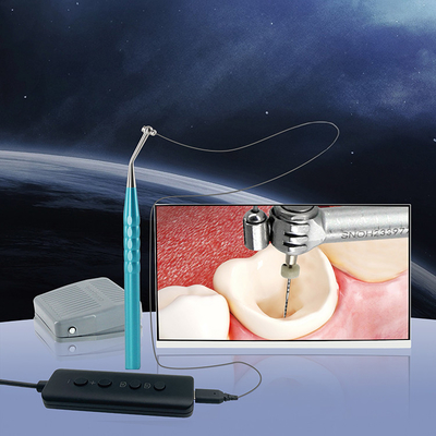 Dental Products Micro Lens Visual Micro Camera for Root Canal Treatment Dental HD Micro Oral Camera supplier