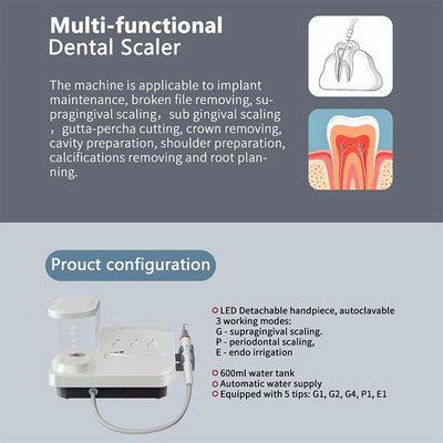 Dental Ultrasonic Cleansing Machine Periodontal Treatment Product Dental Medical Equipment MP7+ Ultrasonic Scaler supplier