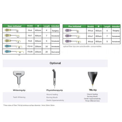 Dental Oral Surgery Products Equipment Diode Laser Dual Wavelength Soft Tissue Cutting Pen Laser supplier