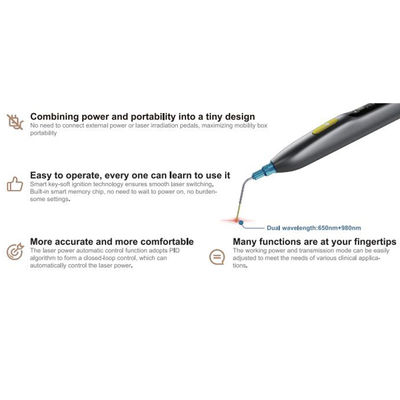 Portable Dental Instruments Oral Diode Laser SE-E129 SOGA-ILASER Il Pen type supplier
