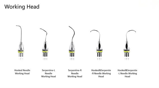Premium Quality Dental Oral Care Tools Drug Delivery Device MTA Paste Carriers Kit supplier