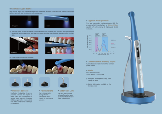 Dolphin 1 Second Curing Light/ Dental 1s Wireless Dental Light Cure / Dental LED Lamp with Caries Detecting Function supplier