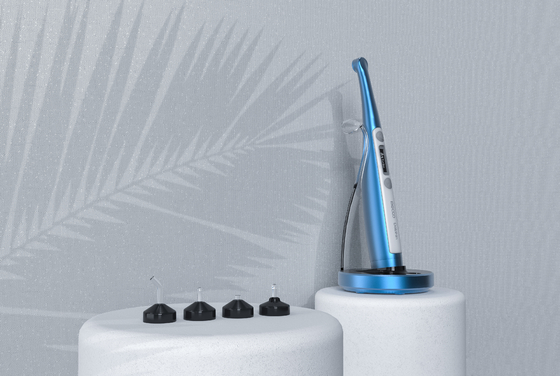 Dolphin 1 Second Curing Light/ Dental 1s Wireless Dental Light Cure / Dental LED Lamp with Caries Detecting Function supplier
