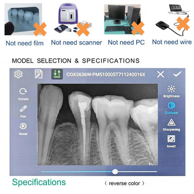 High Frequency Portable Dental Small/ Large Sensor 60kV/2mA Medical X-Ray Machine Set Color Large Screen Dental X-ray Unit supplier